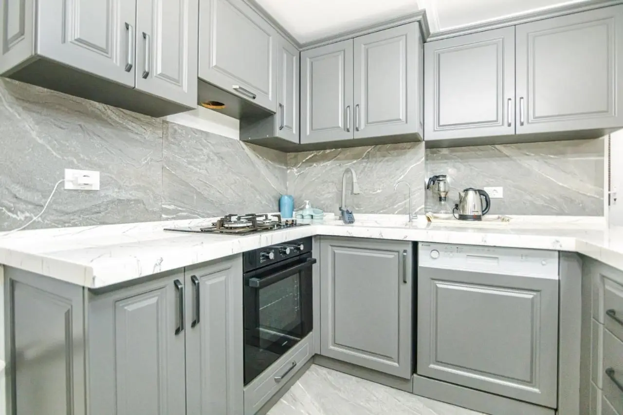 Nizami Street New Apartment Mojo