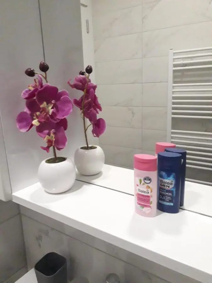 Studio apartman Promenada