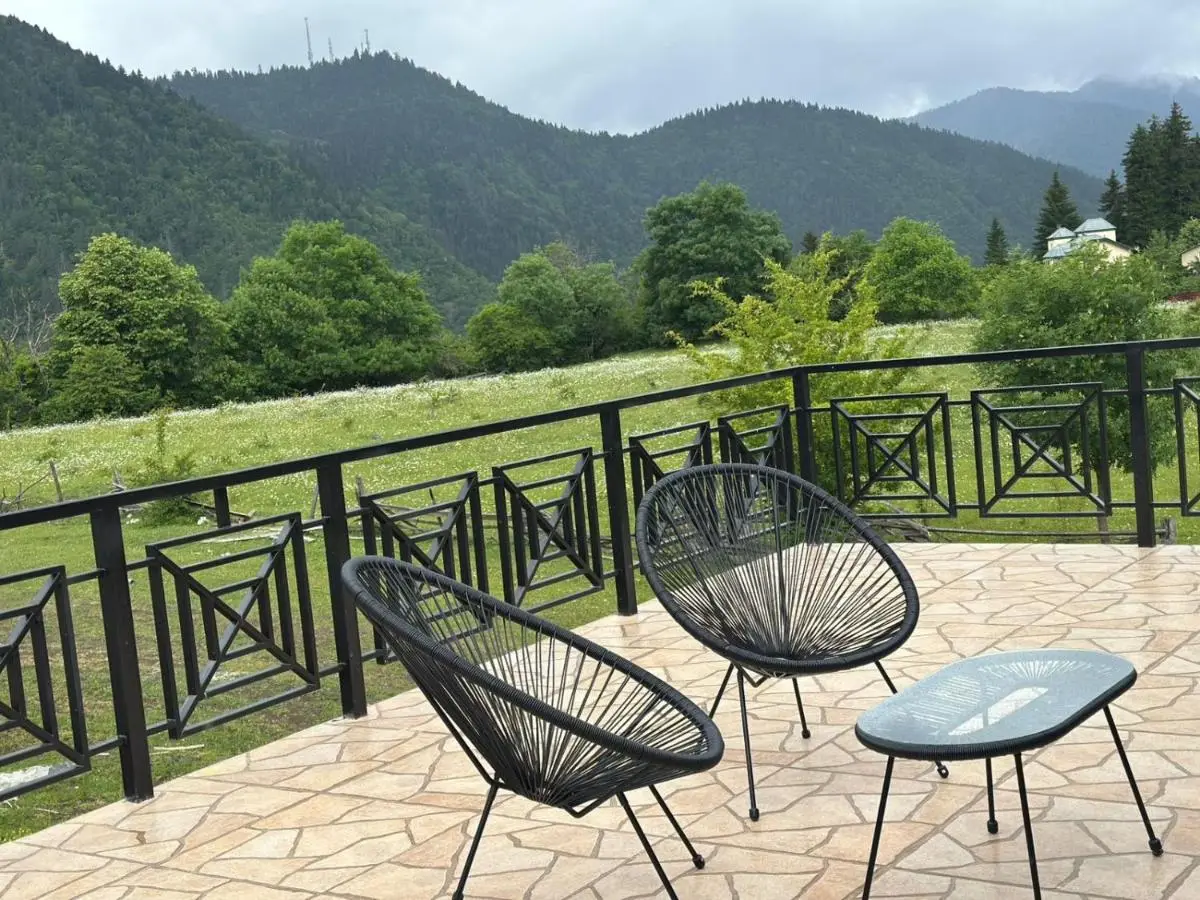 Dream House borjomi sadgeri