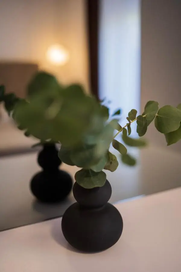 Riverland - luxury apartment Mostar