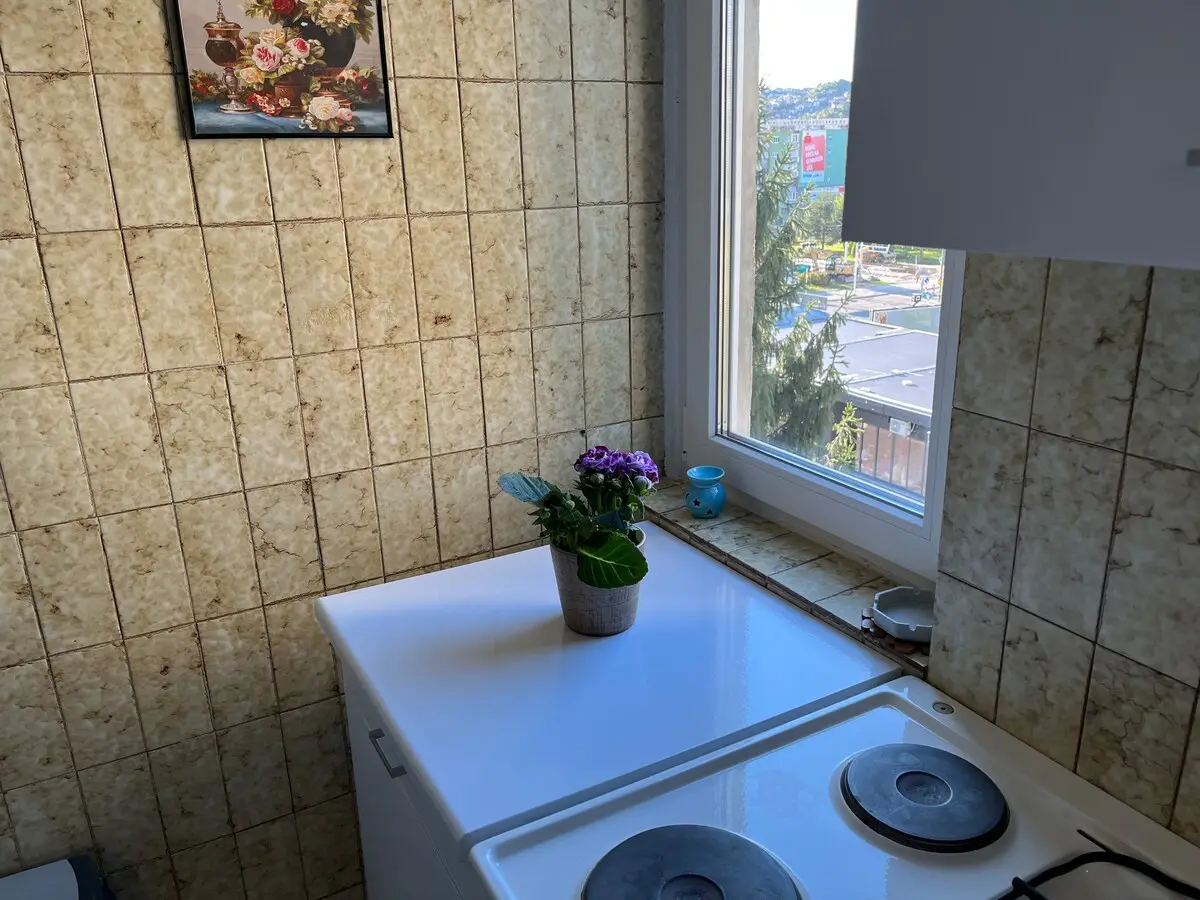 Cozy two bedroom apartment that feels like home