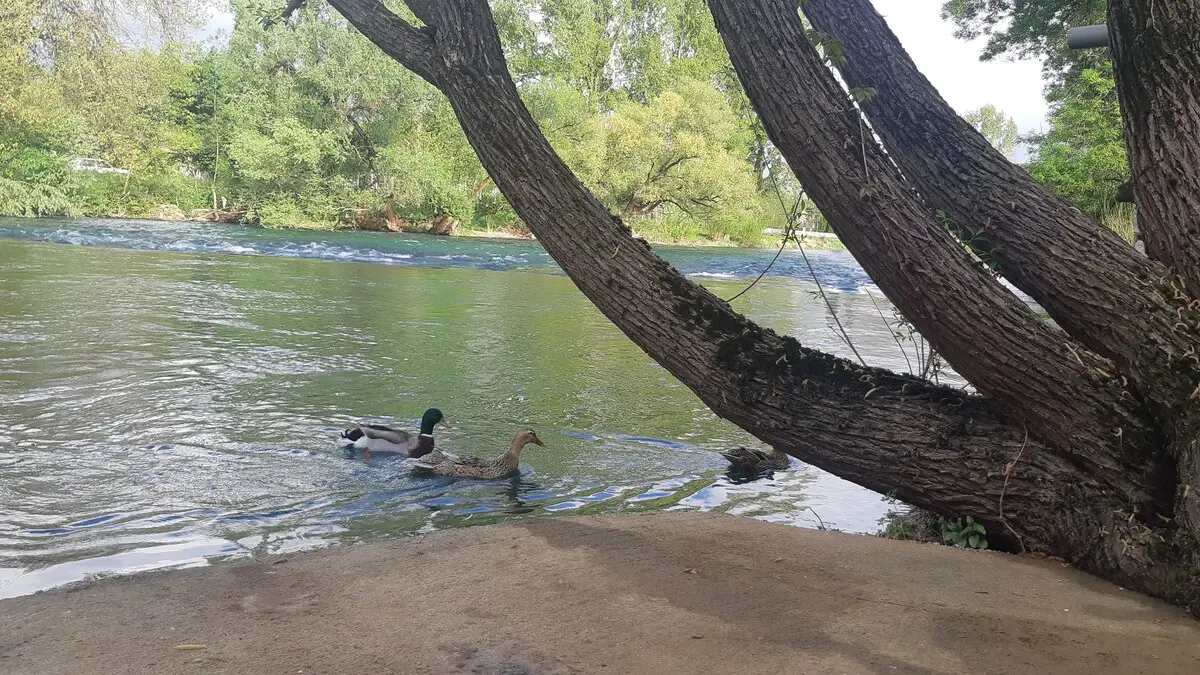 River View  Buna-Mostar