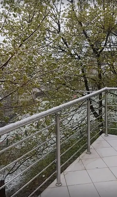 Sweet little nest in Sarajevo