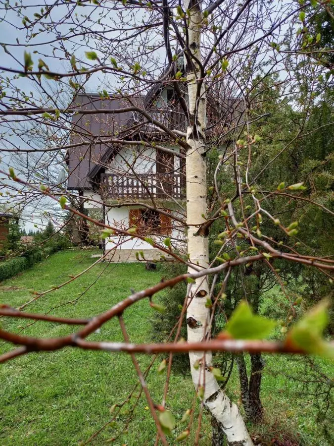 Montecasa