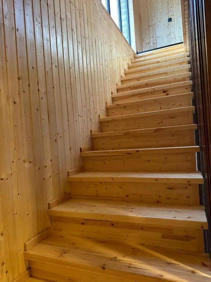 Dream House borjomi sadgeri