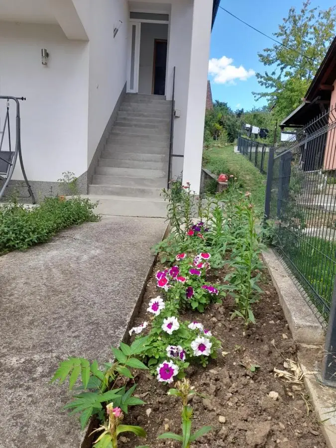 Guest House 369