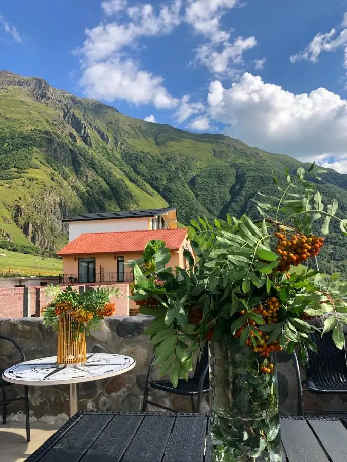 Vache Hotel