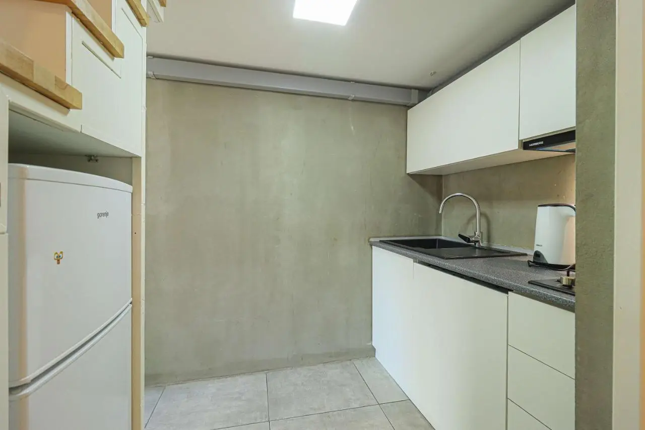 Stylish Apartment on Rustaveli Avenue