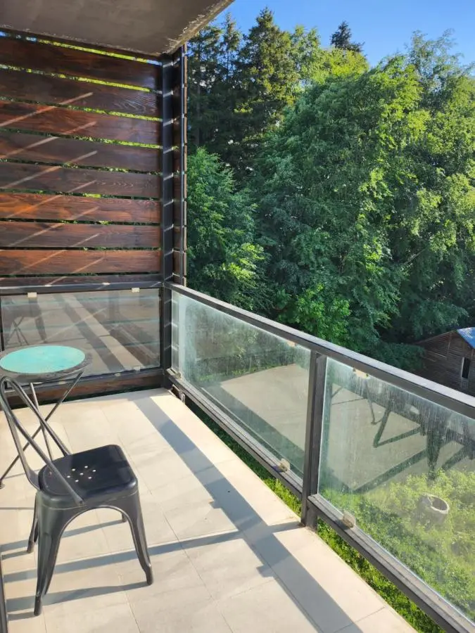 Bakuriani Art Hotel apartament