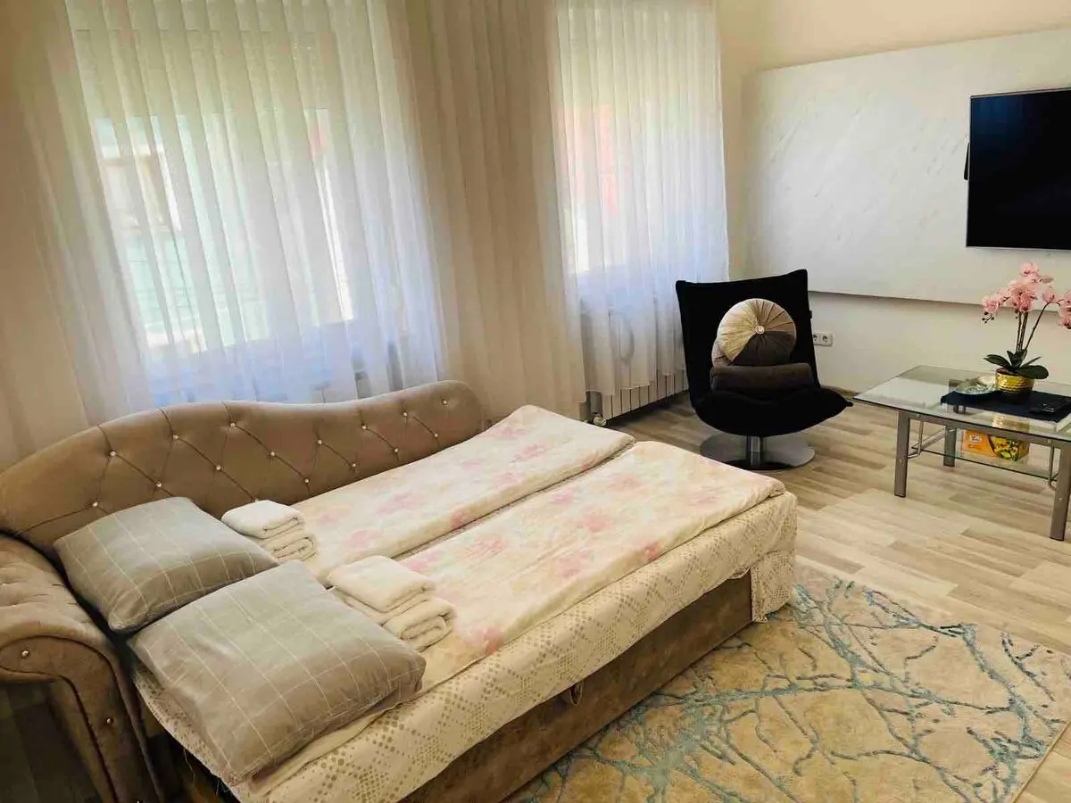 Luxury apartment in city center