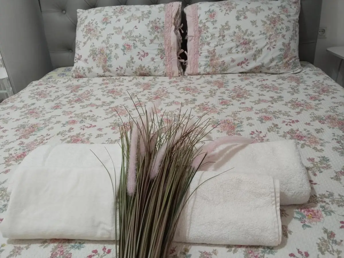 2-bedroom the entire apartment Very central Location 3 minutes walk to central square, Kolkha Fountain