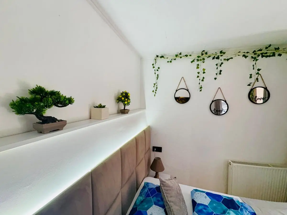 Apartment Irma free parking old town near Bascarsija