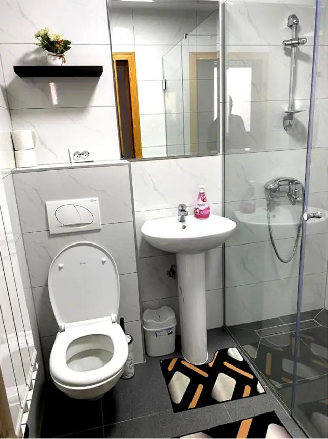 Apartments Dedic
