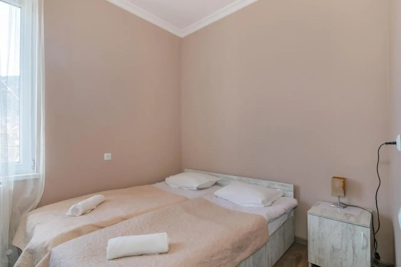 Guest House Check in Borjomi
