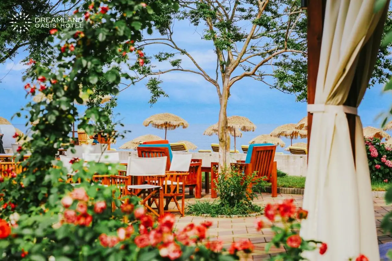 Dreamland Oasis Hotel Chakvi