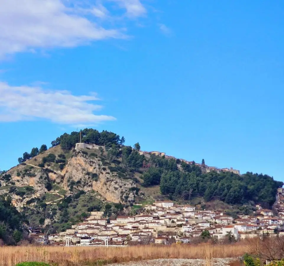 Apartaments Mimani 2