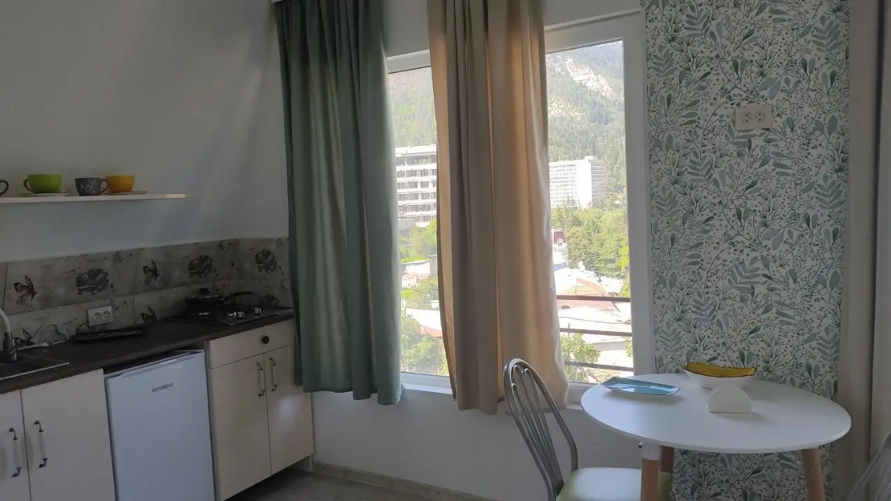 Borjomi Nest 1