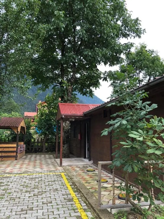 şerah bungawilla