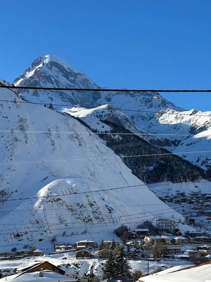 Edelweiss Cottage Kazbegi Mountain Views Near Gergeti