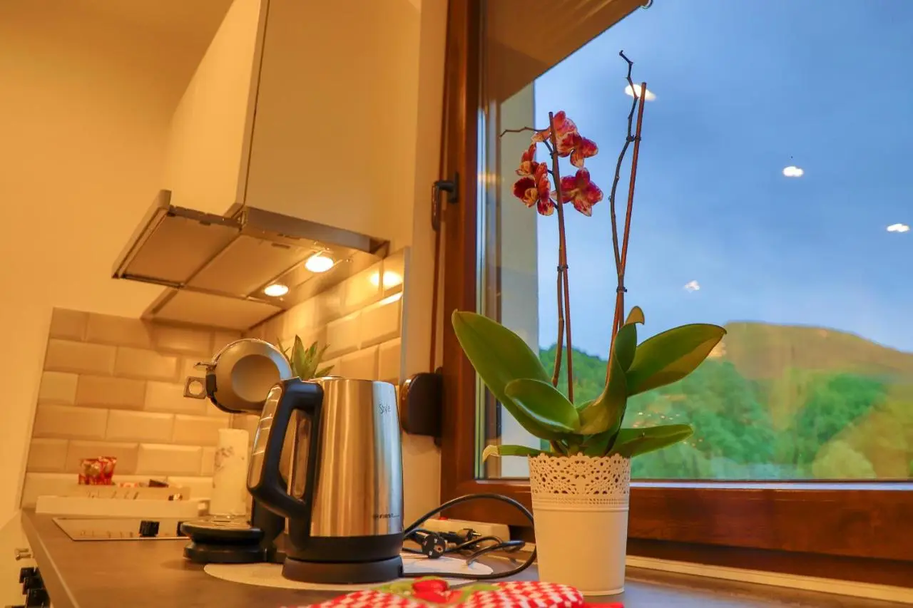 Apartments EDY