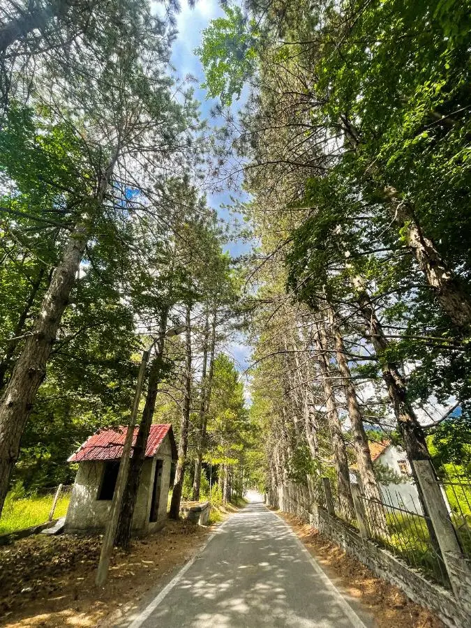 Vila Alpini