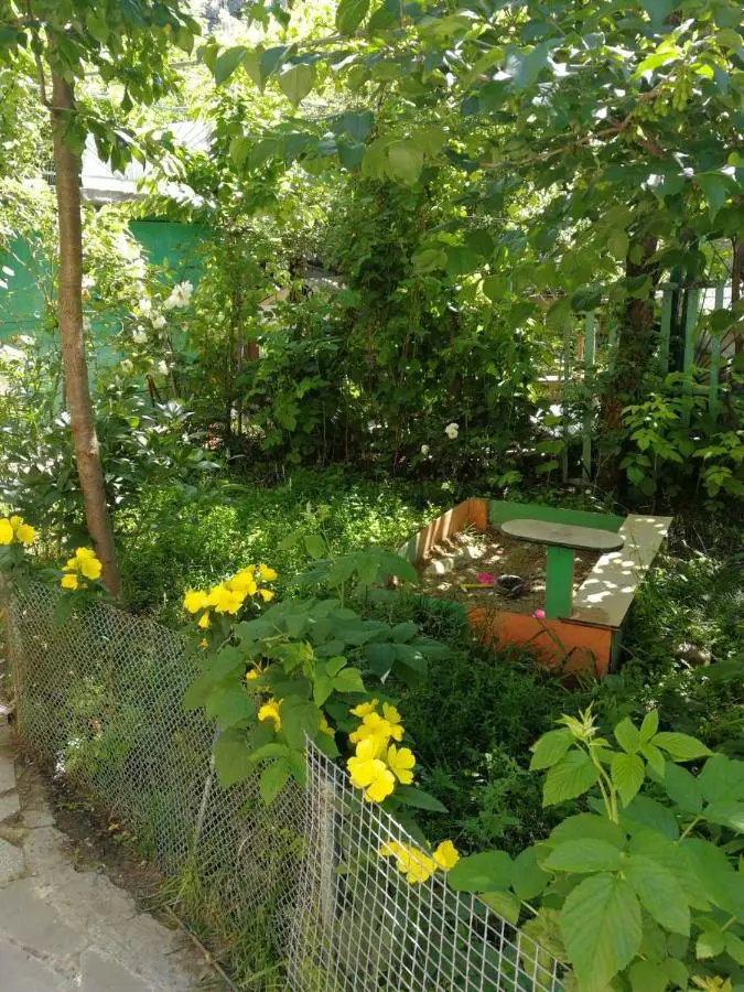 Guest House Shvelidze