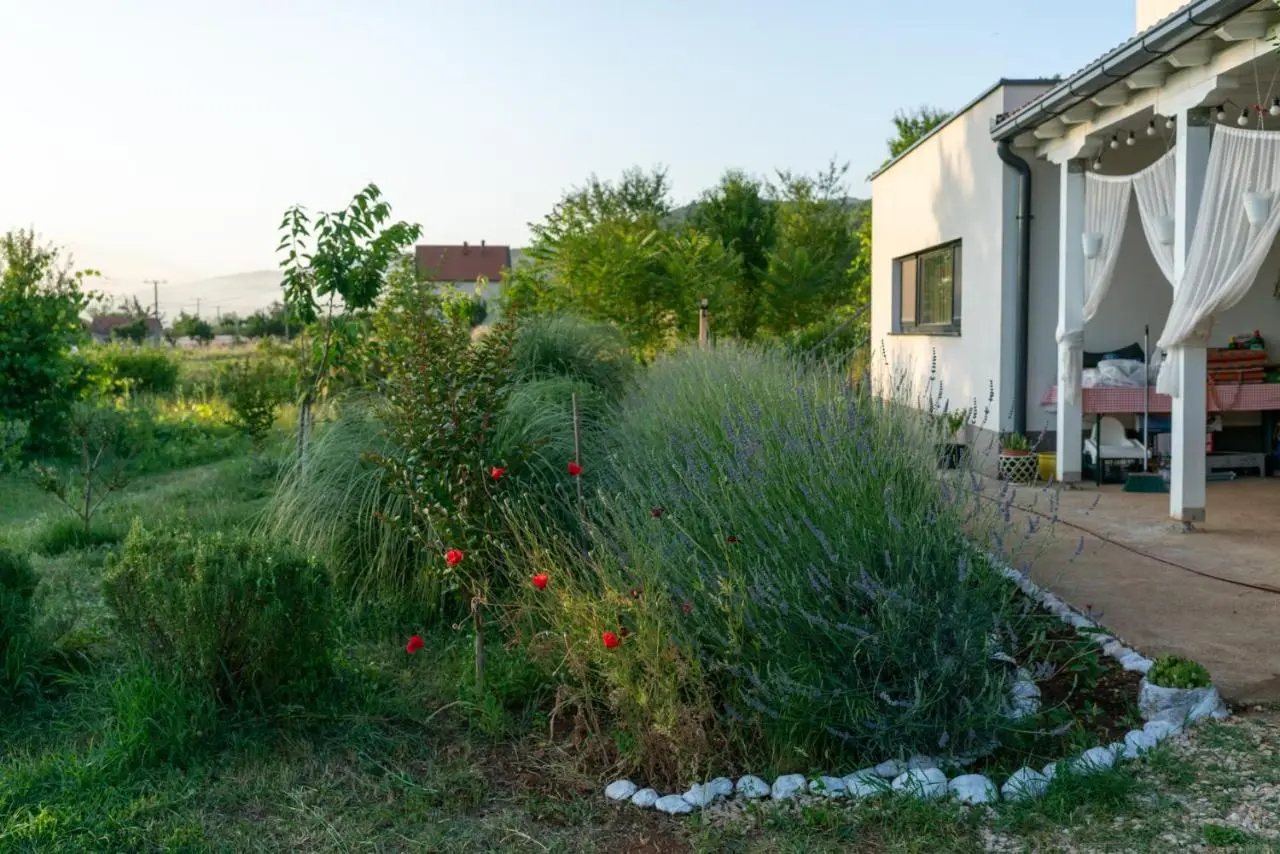 OZ - Obecana Zemlja Permaculture Homestead