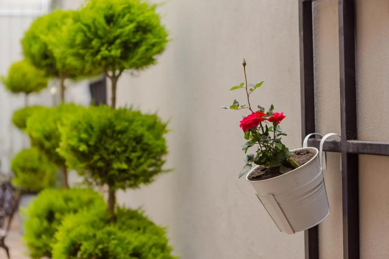 Hotel BLOOM Batumi