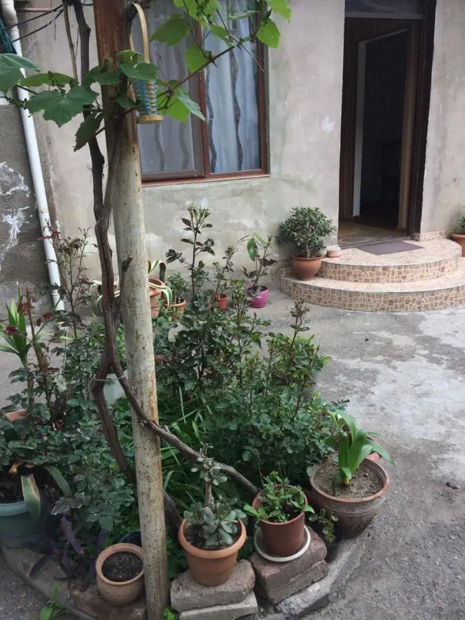 Guesthouse Gia