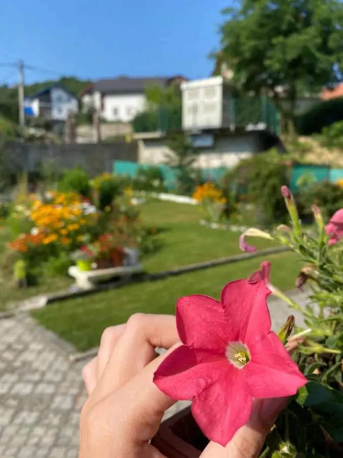 Family Flower House