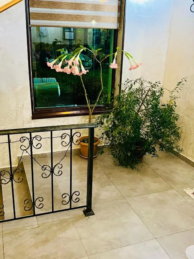 Hotel Elite House