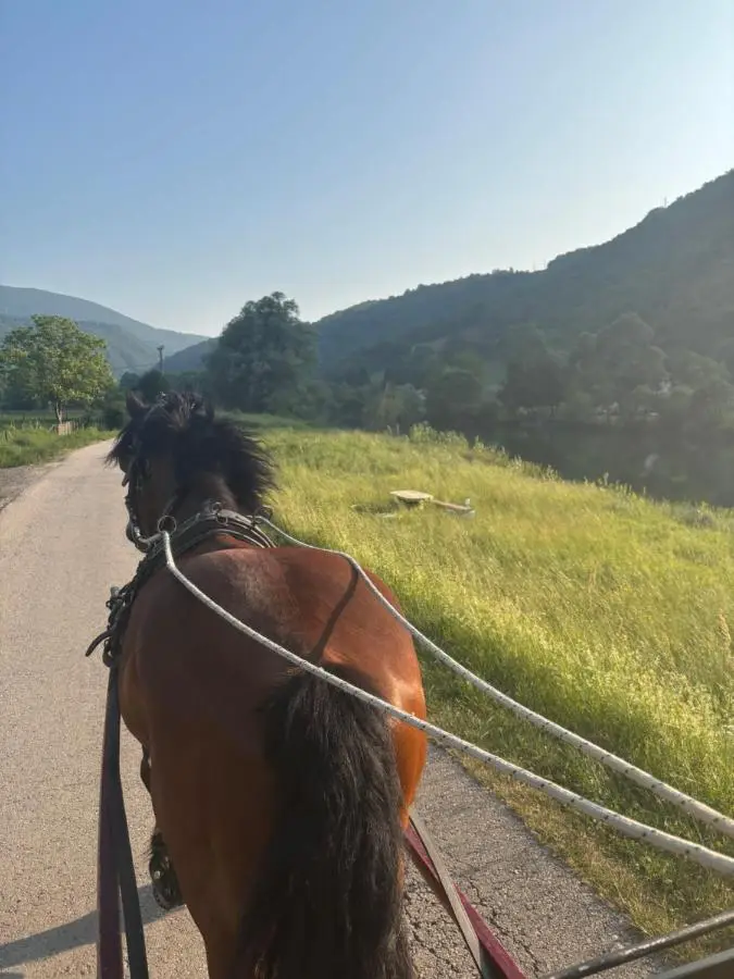 Ranch Jajce