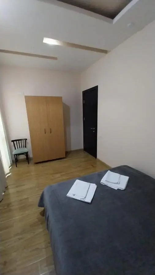Apartment on Rustaveli