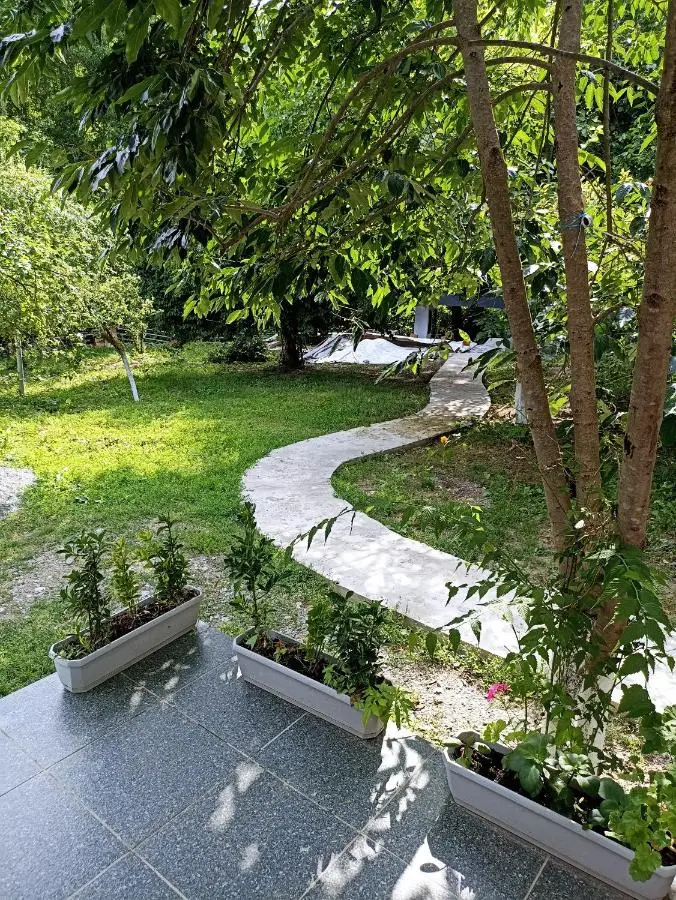 Woodland Paradise