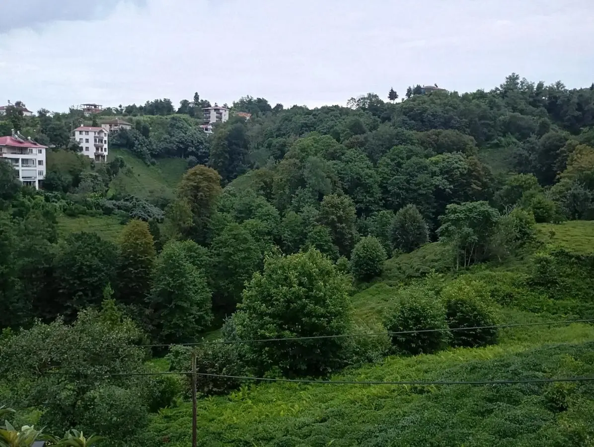 Huzur Konaklama
