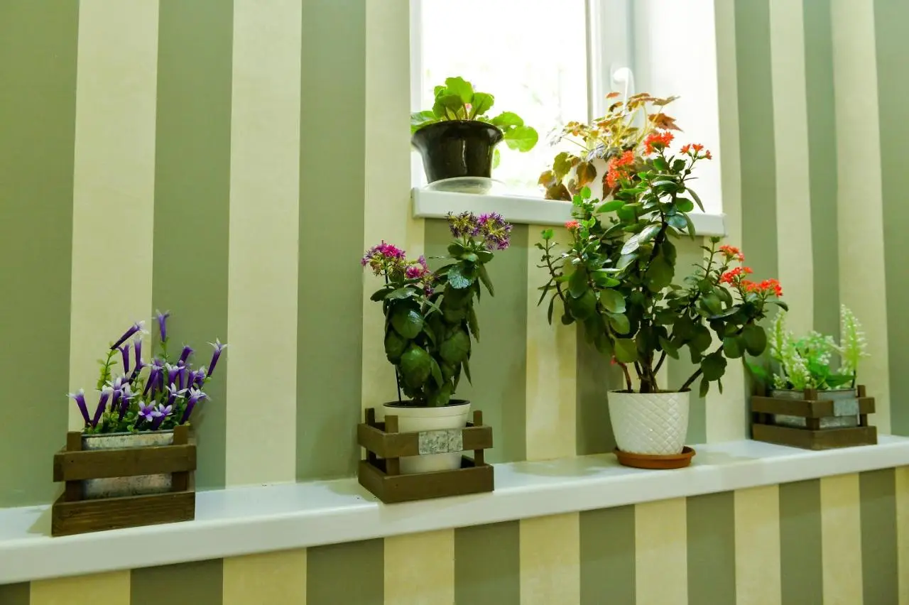 Friendly Guest House