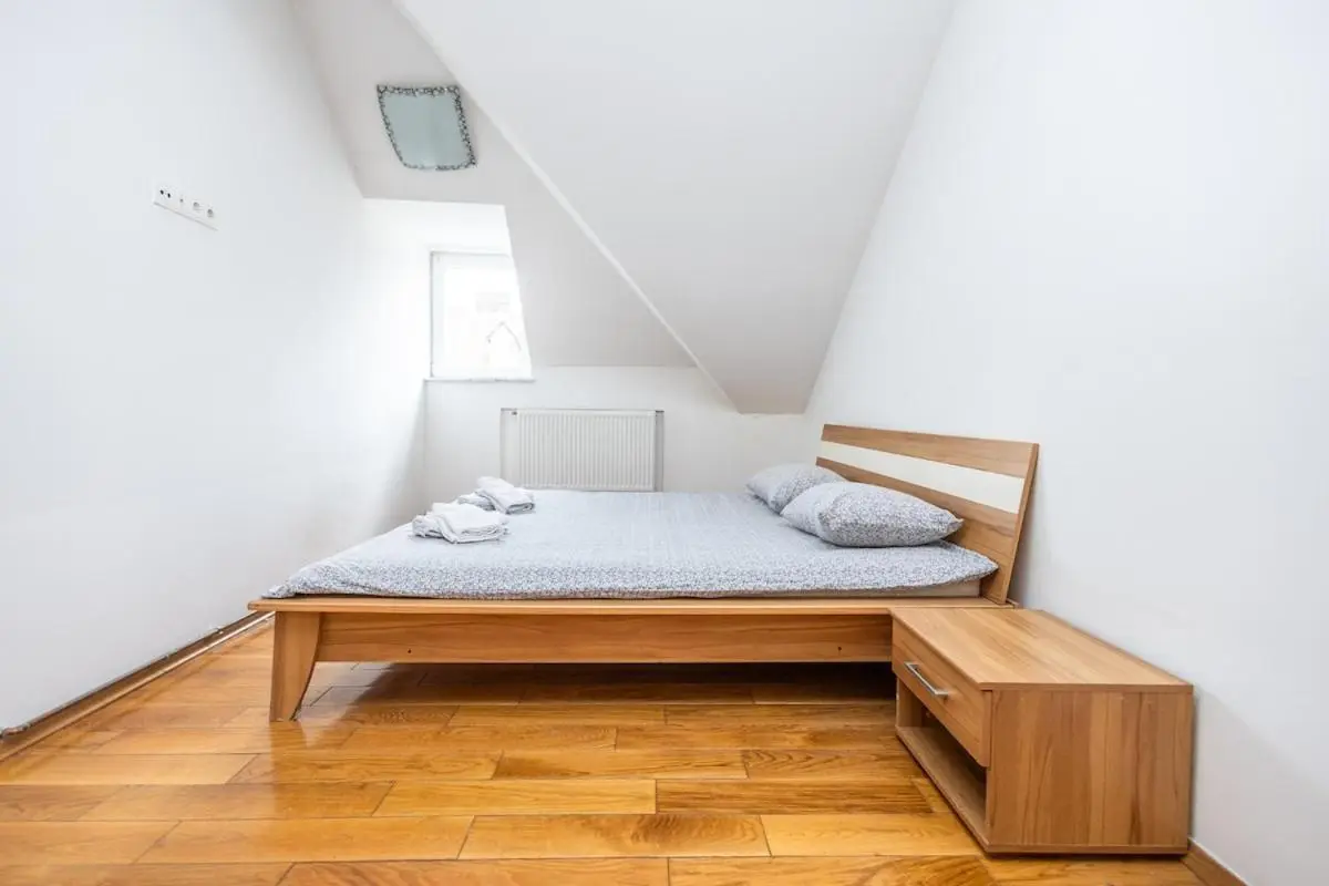 Spacious Apartment in Downtown