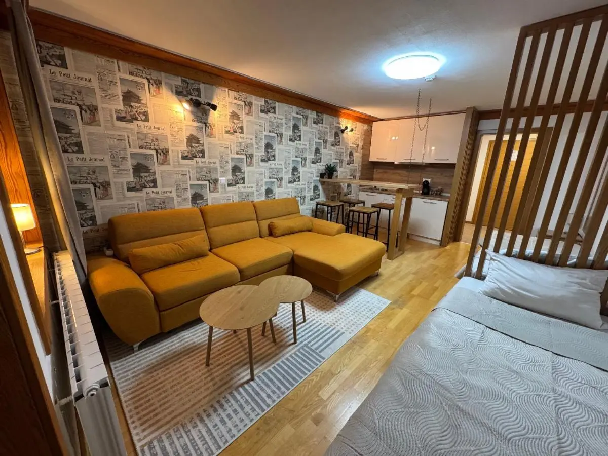 Apartment 122 - Aparthotel Vučko Jahorina - private host