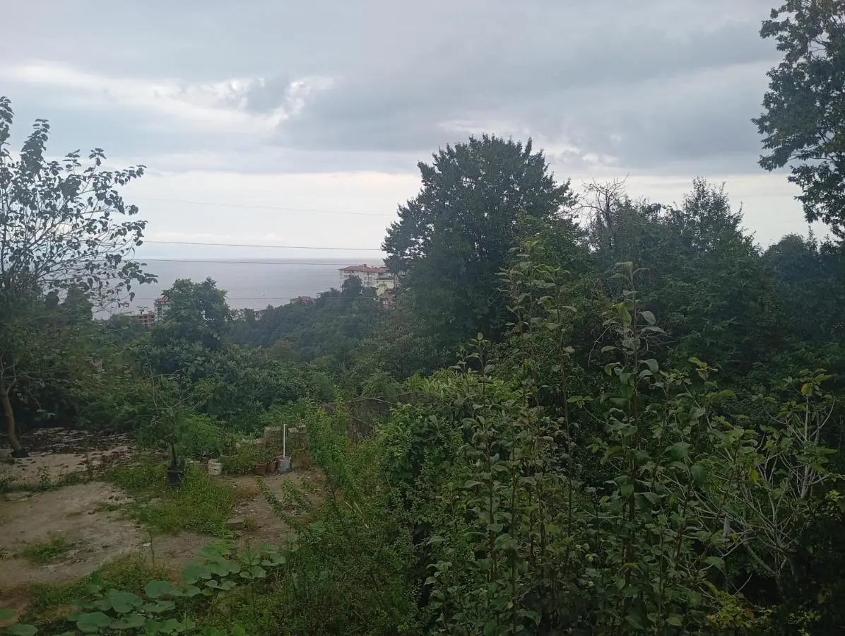 Huzur Konaklama