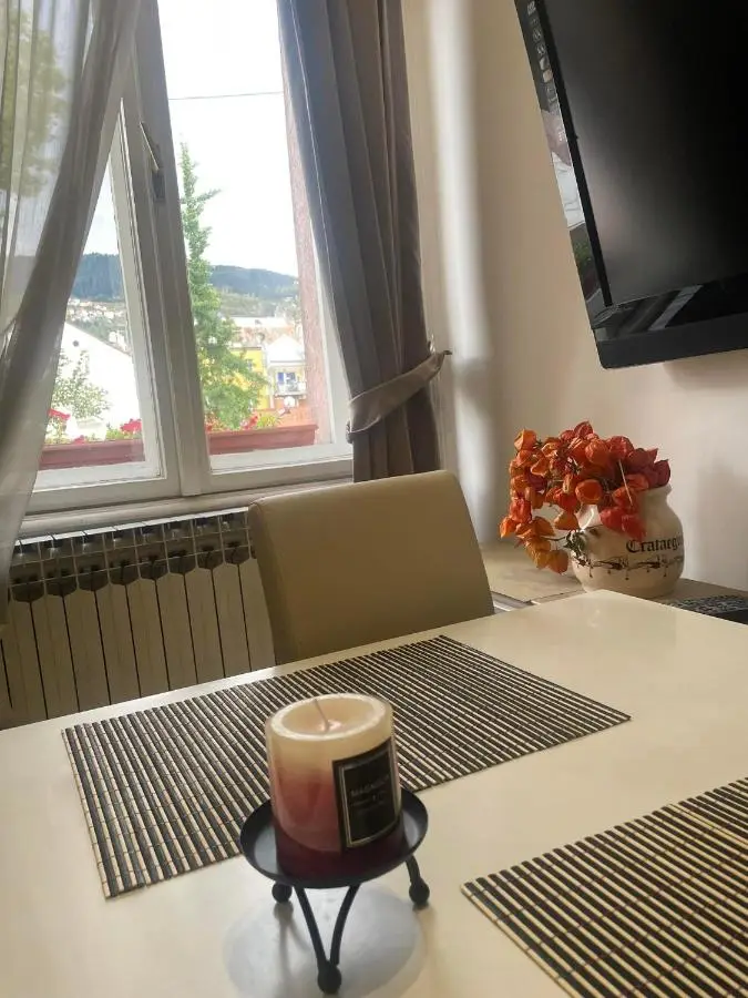 Apartment Romana