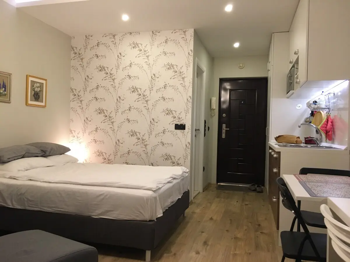 Cosy studio apartment in city center