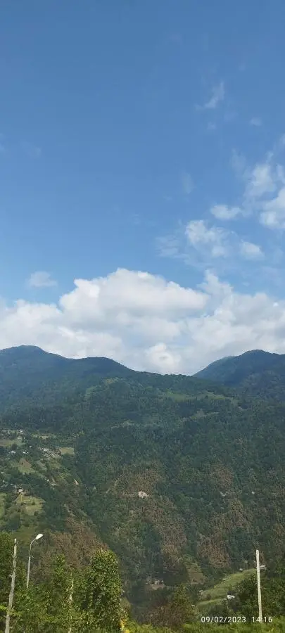 GREEN GUNDAURI