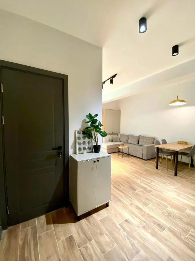 Snow Forest Bakuriani Apartment 10