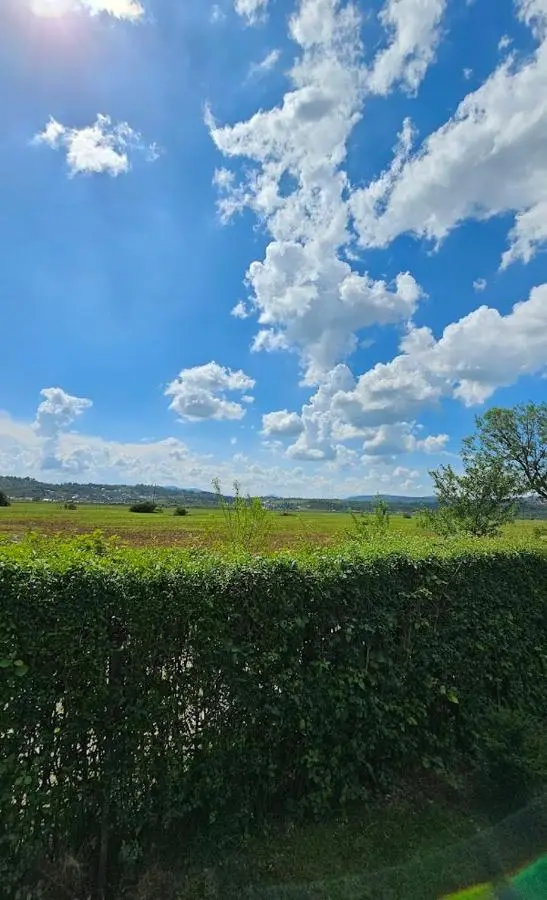 Guest House Green Field