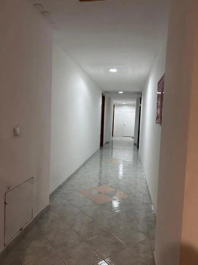 Apartment Alisa