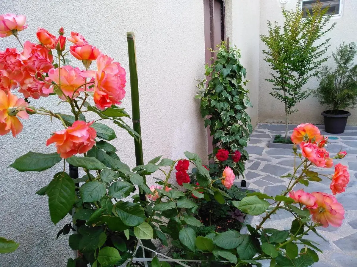 Old City LG Apartments