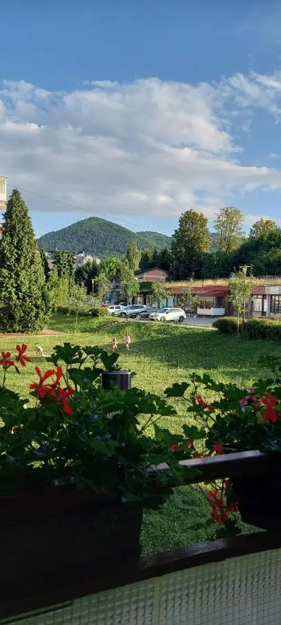 VIEW APARTMENT