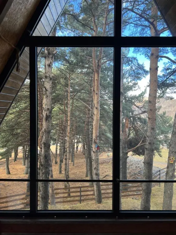 Elia Loft