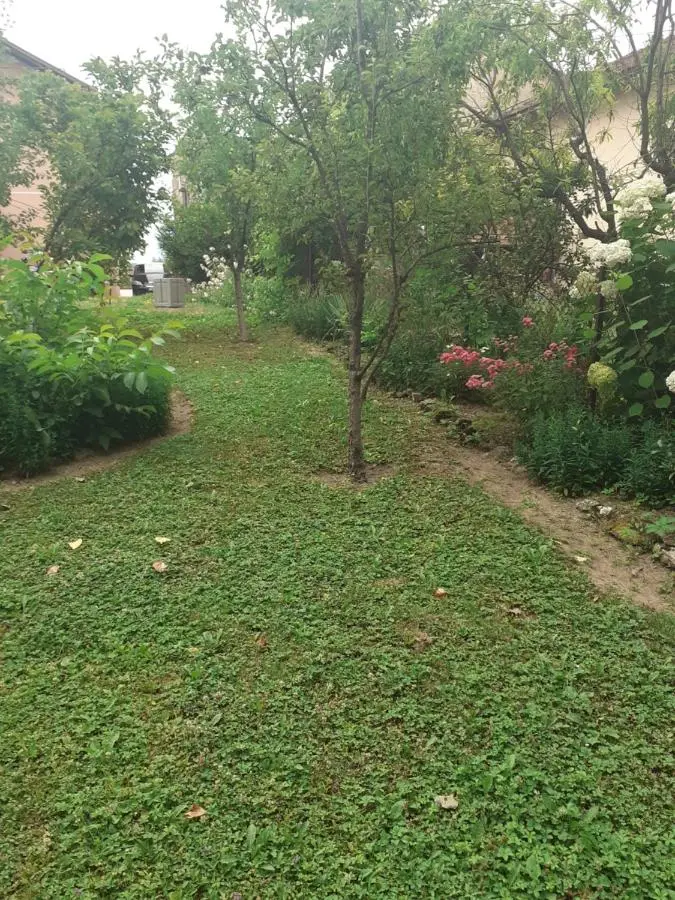 Apartman Dalal - with access to river Una