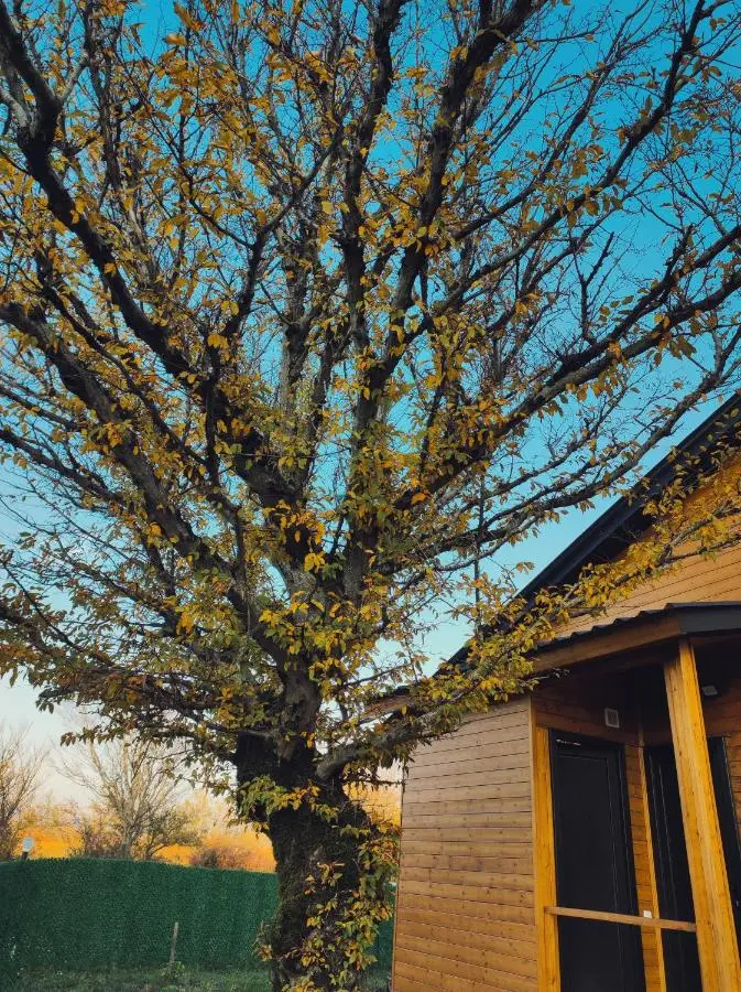 Wooden Villa Sormoni